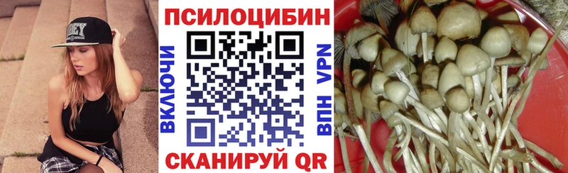 Псилоцибиновые грибы MAGIC MUSHROOMS  Княгинино 